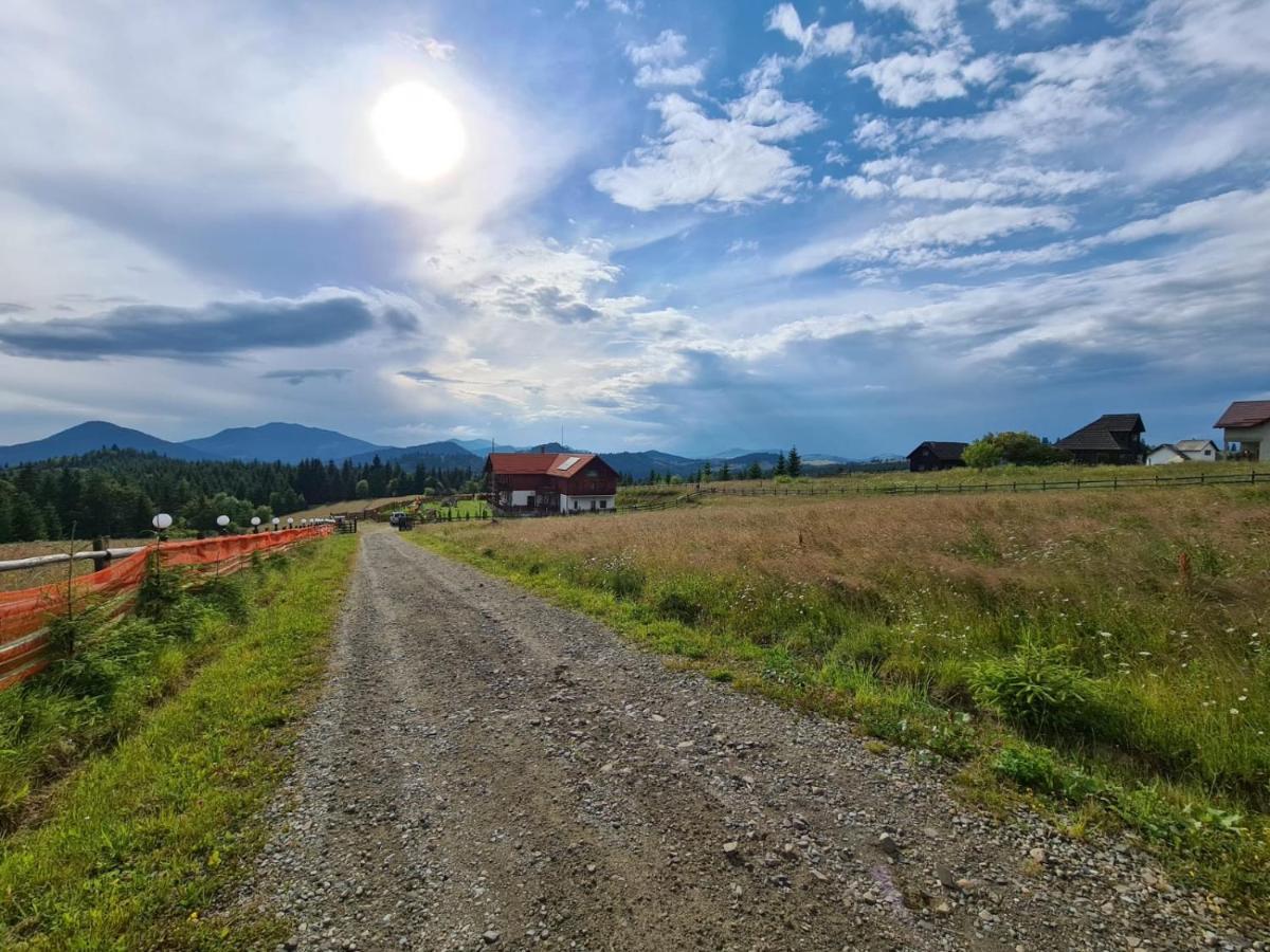 Pensiunea Zana Muntilor Piatra Fantanele Bagian luar foto