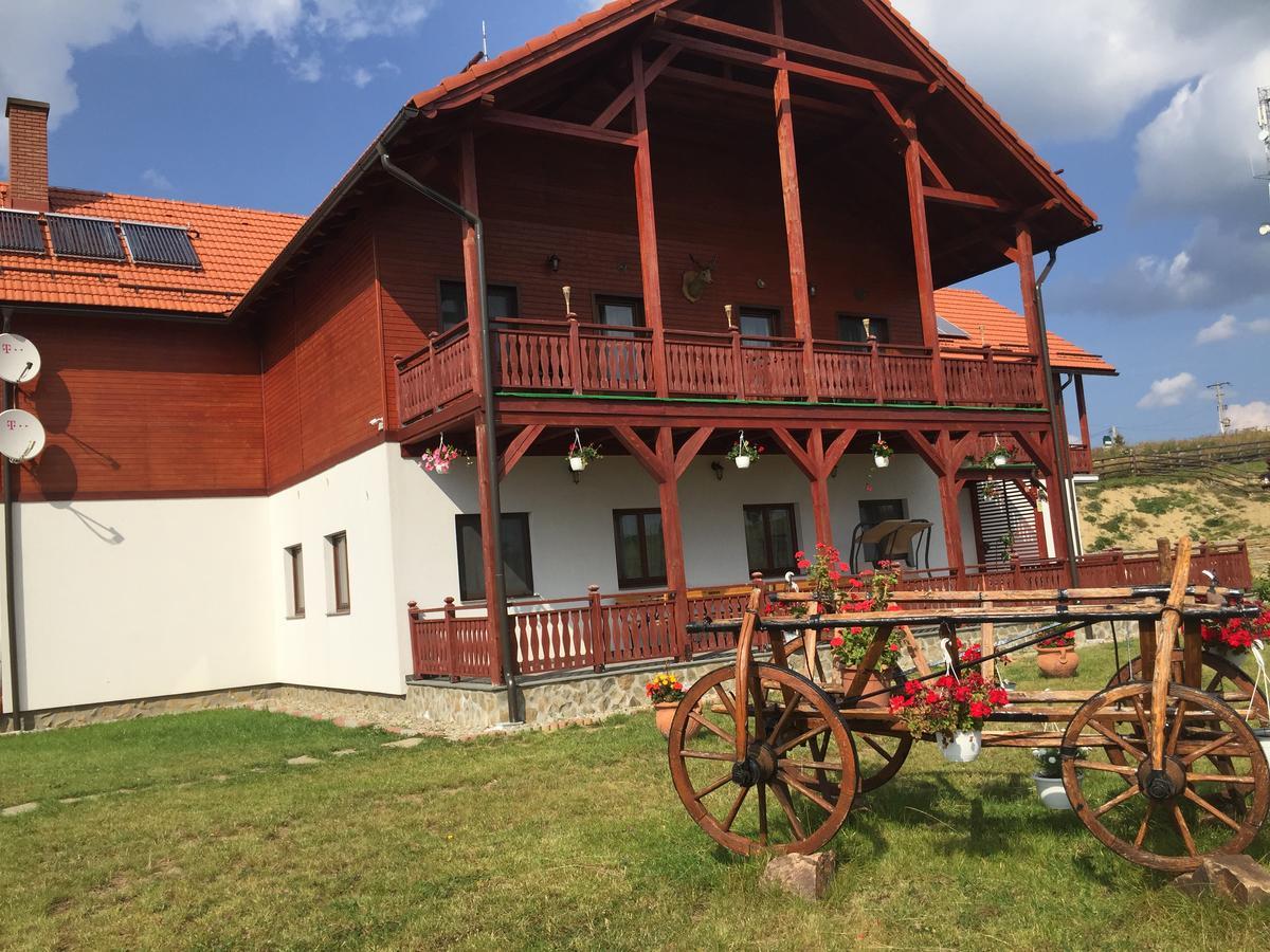 Pensiunea Zana Muntilor Piatra Fantanele Bagian luar foto